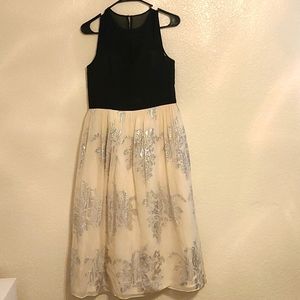 Elegant Black and Cream Dress with Silver Accents
